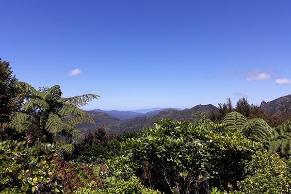 Windy Canyon lookout to Aotea Conservation Park on Great Barrier Island