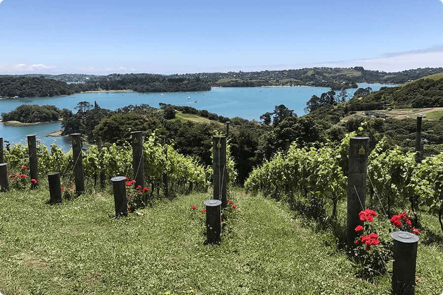 View of Putaki Bay from Te Whau vineyard and restaurant Waiheke Island